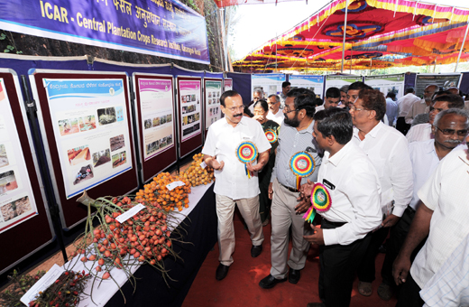 Krishi Mela 2015 at the CPCRI at Vittal